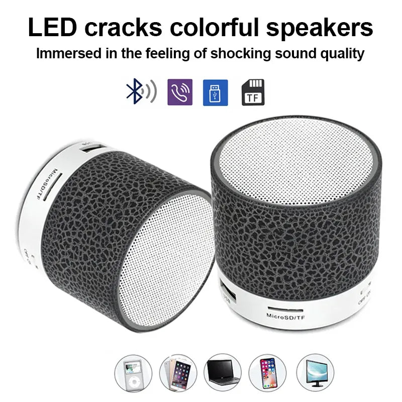 Bluetooth Mini Speaker