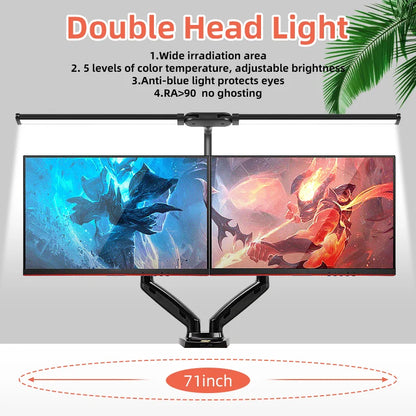 USB Double Head LED Desk Lamp
